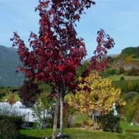 camping-gloria-vallis-glurns-avjxo