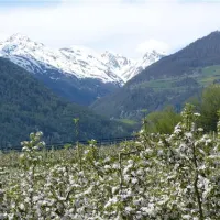camping-gloria-vallis-glurns-iw6pg