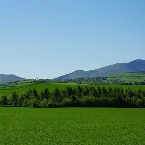 camping-the-larches-cumbria-zi2fq