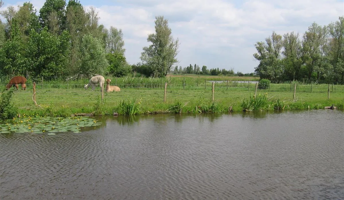 camping-tuinderij-welgelegen-graft-0vv39