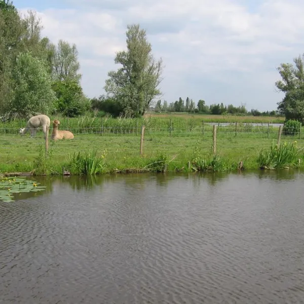 camping-tuinderij-welgelegen-graft-0vv39