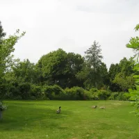 camping-tuinderij-welgelegen-graft-ekkus