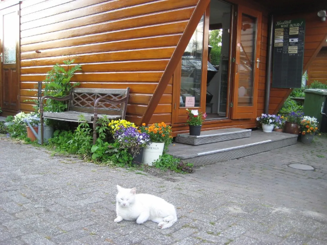 camping-tuinderij-welgelegen-graft-palzk