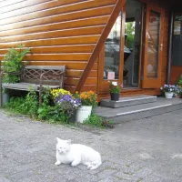 camping-tuinderij-welgelegen-graft-palzk