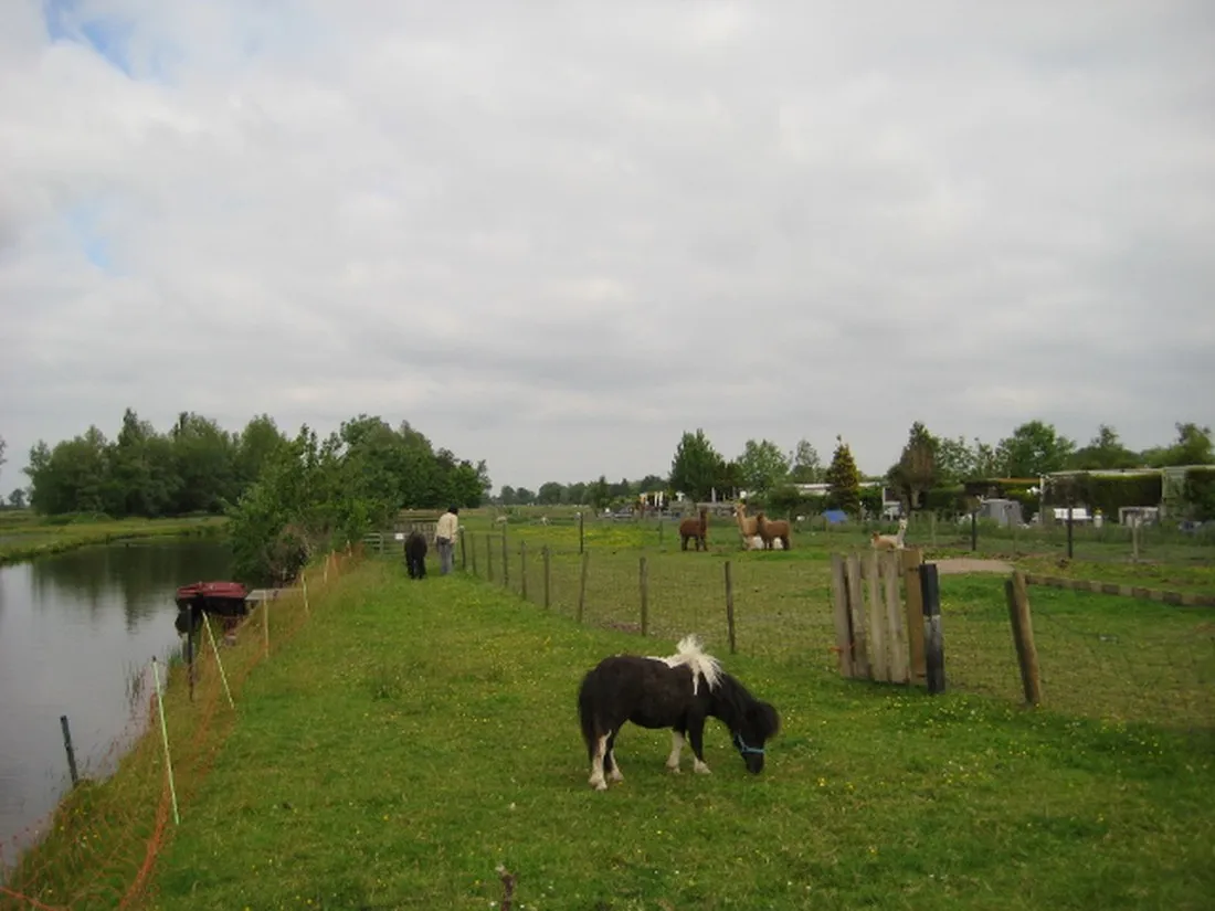 camping-tuinderij-welgelegen-graft-wjq0o