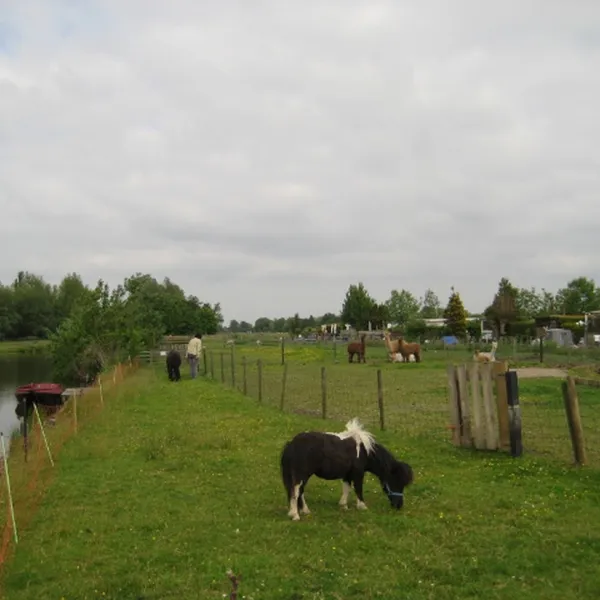 camping-tuinderij-welgelegen-graft-wjq0o