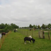 camping-tuinderij-welgelegen-graft-wjq0o