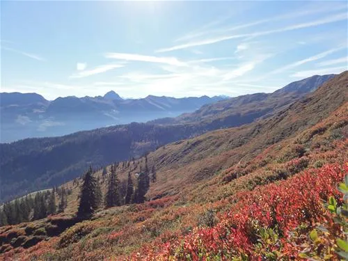panoramacamping-westendorf-westendorf-icxju