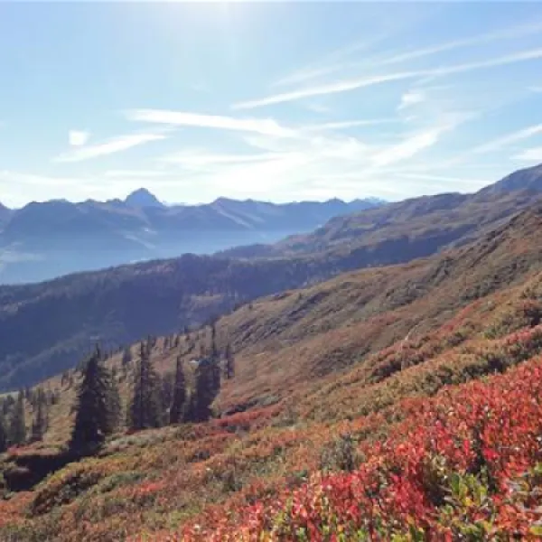 panoramacamping-westendorf-westendorf-icxju