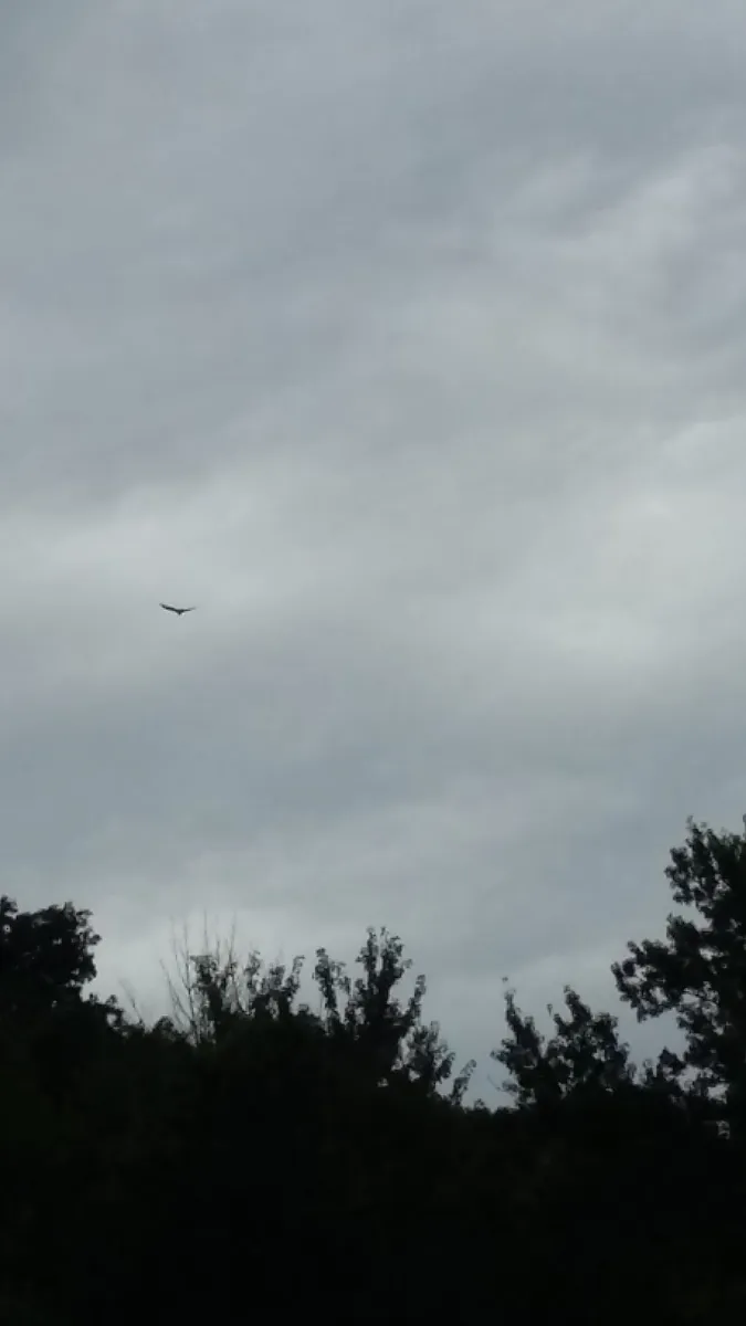blackhawk-valley-campground-rockford-2dhly