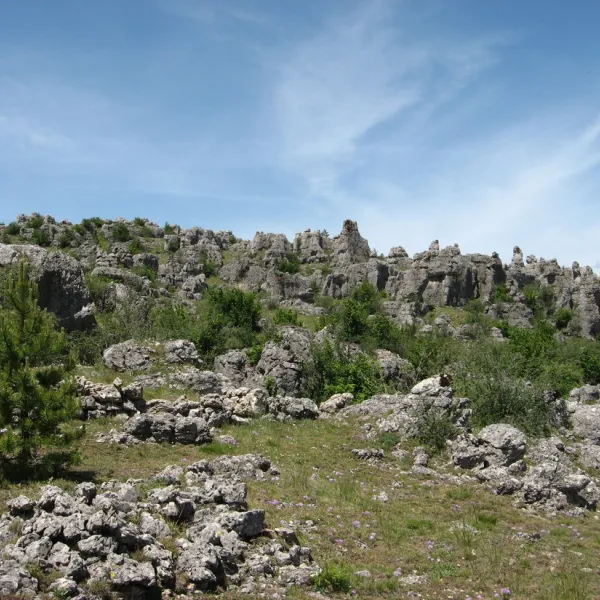 camping-le-champ-dayres-meyrueis-hu7x0