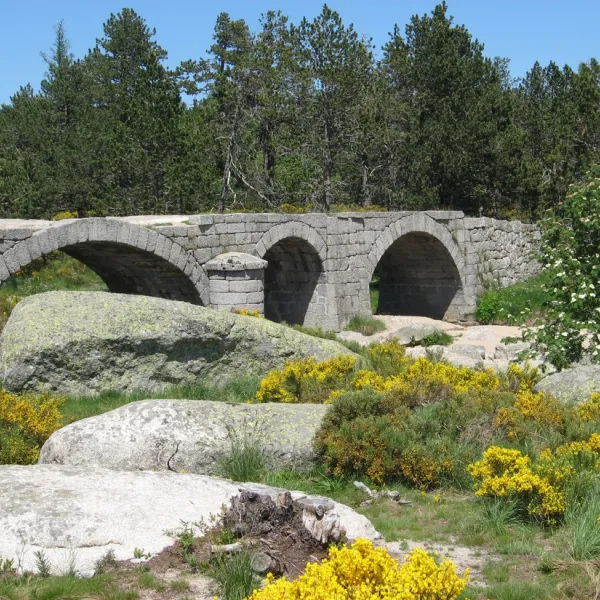 camping-le-champ-dayres-meyrueis-n9dyu