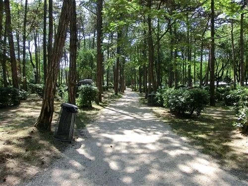 campeggio-sabbiadoro-lignano-sabbiadoro-xzsuu