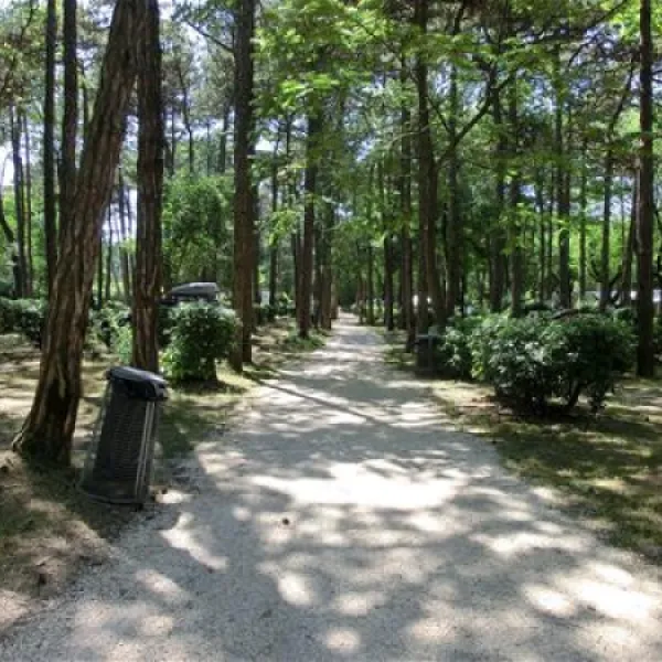 campeggio-sabbiadoro-lignano-sabbiadoro-xzsuu