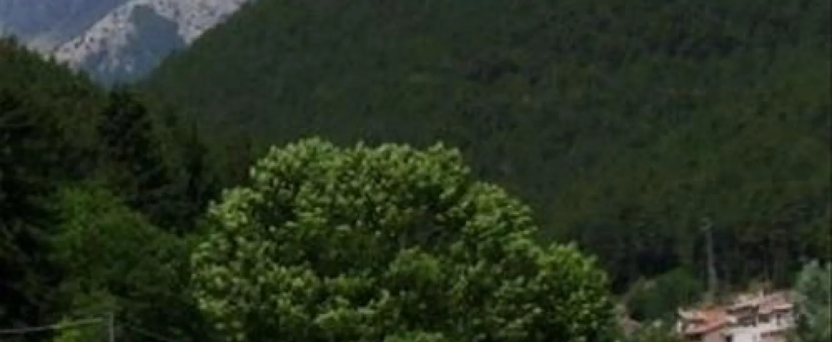 Campeggio Natura Le Quite