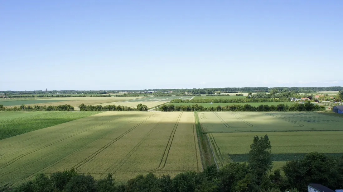 camping-carpe-diem-serooskerke-walcheren-c4jhq