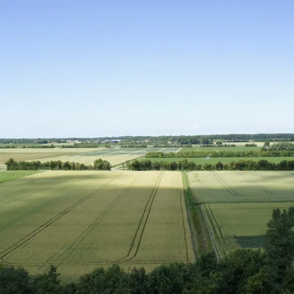 camping-carpe-diem-serooskerke-walcheren-c4jhq