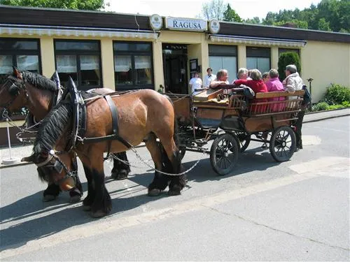 knaus-camping-walkenried-walkenried-40xsa