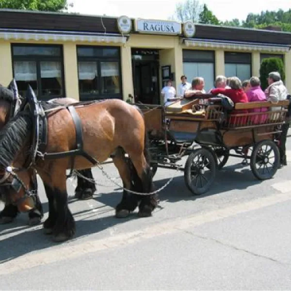 knaus-camping-walkenried-walkenried-40xsa