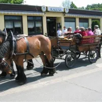 knaus-camping-walkenried-walkenried-40xsa