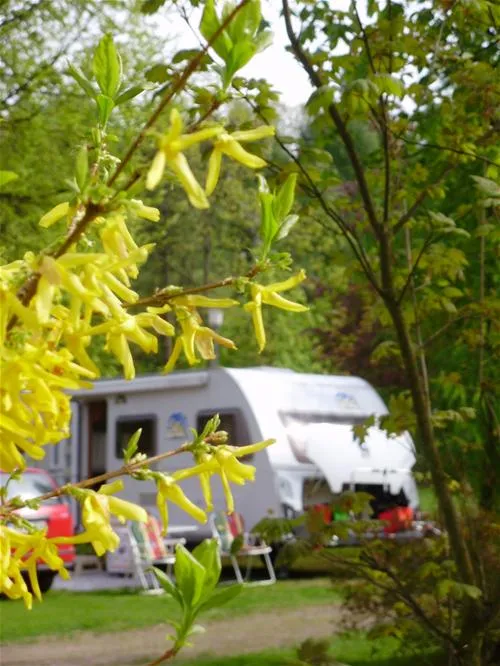 knaus-camping-walkenried-walkenried-nx5eu