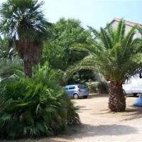 Camping Glavna Plaza