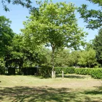 camping-la-porte-dautan-saissac-sz88w