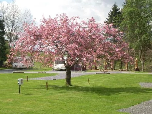 penybont-touring-camp-park-bala-zaupm