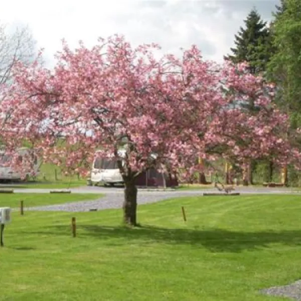 Pen y Bont Touring Park
