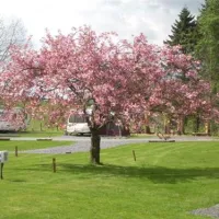 penybont-touring-camp-park-bala-zaupm