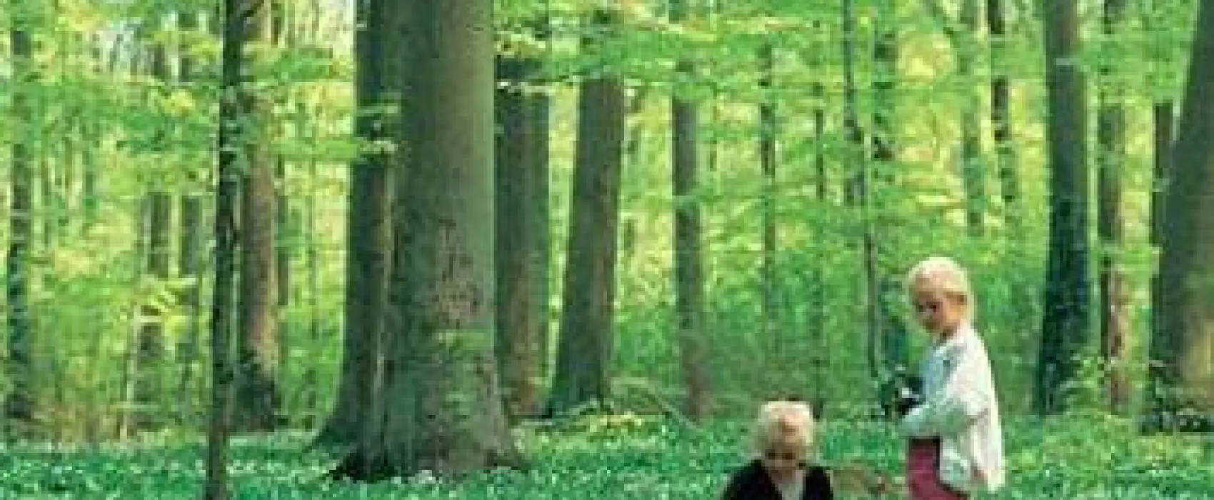 Camping Møns Klint