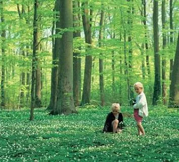 camping-mns-klint-busene-ui23q