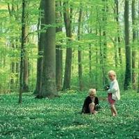 camping-mns-klint-busene-ui23q