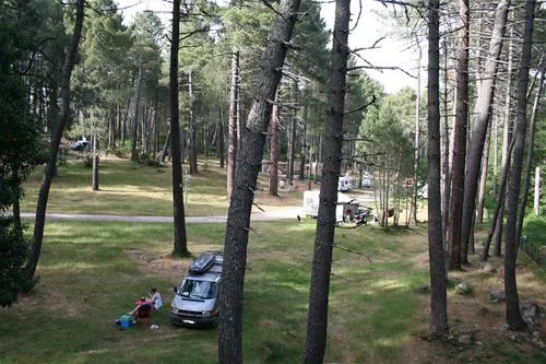camping-municipal-zonza-txif0