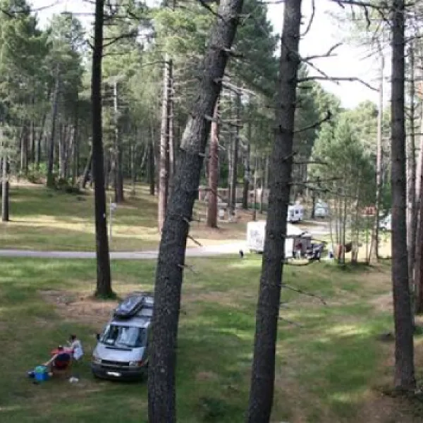 camping-municipal-zonza-txif0
