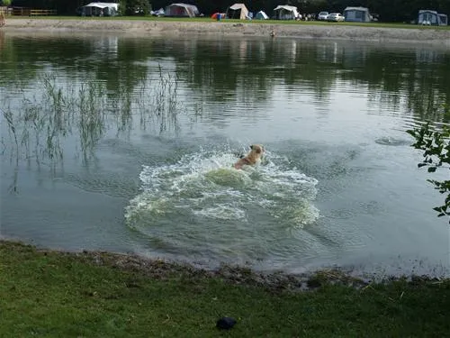 camping-de-havixhorst-de-schiphorst-oiyci