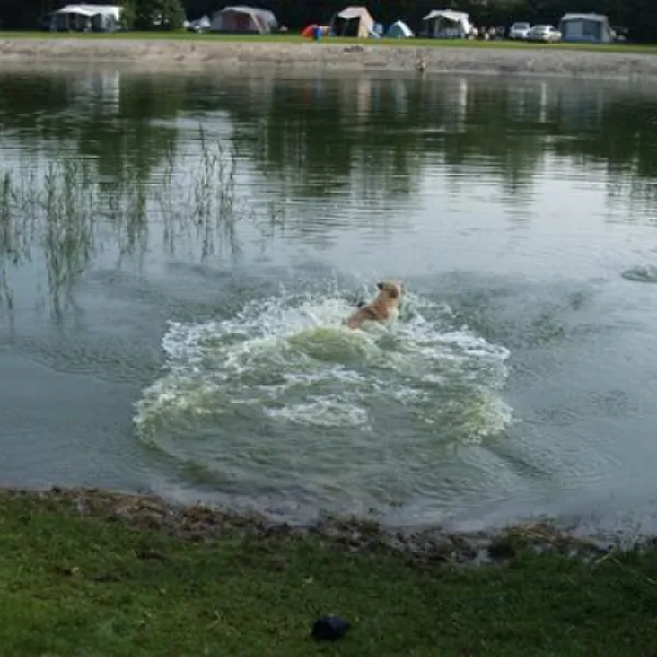 camping-de-havixhorst-de-schiphorst-oiyci