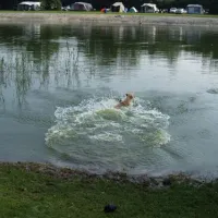 camping-de-havixhorst-de-schiphorst-oiyci