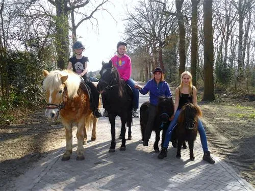 camping-de-havixhorst-de-schiphorst-yoc7u