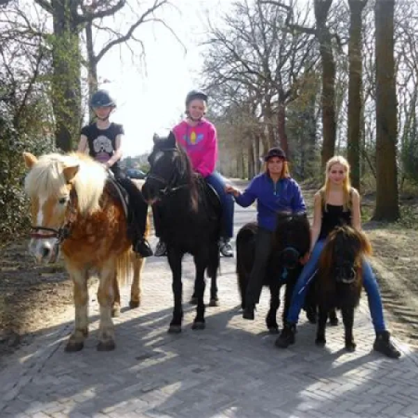 camping-de-havixhorst-de-schiphorst-yoc7u