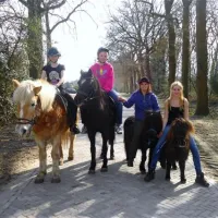Camping De Havixhorst