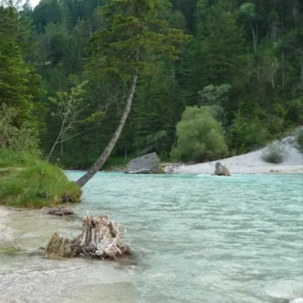 naturcampingpark-isarhorn-mittenwald-kdljs