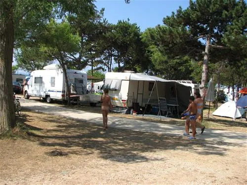 dalmacijacamp-privlaka-ikcic