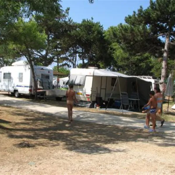 dalmacijacamp-privlaka-ikcic