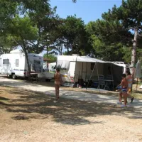 dalmacijacamp-privlaka-ikcic