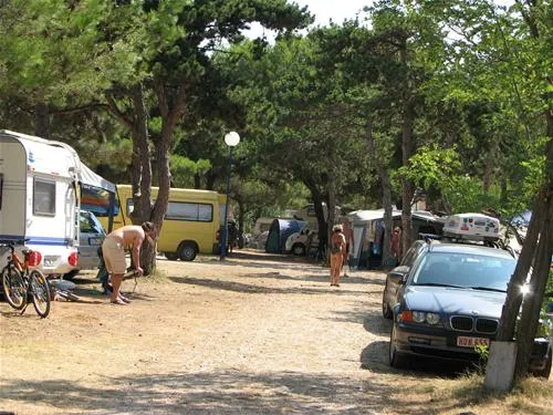 dalmacijacamp-privlaka-itbgf
