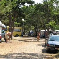 dalmacijacamp-privlaka-itbgf