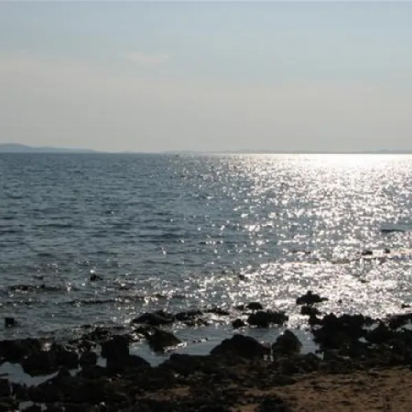 dalmacijacamp-privlaka-veiup
