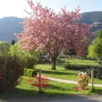 seecamping-mentl-landskron-heiligen-gestade-zdac4