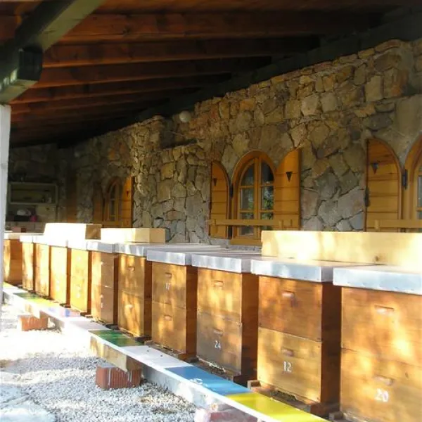 camping-vrata-velebita-tribanj-kruscica-mn9bx